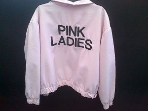 Adult Female Costumes to Hire - Pink ladies jacket